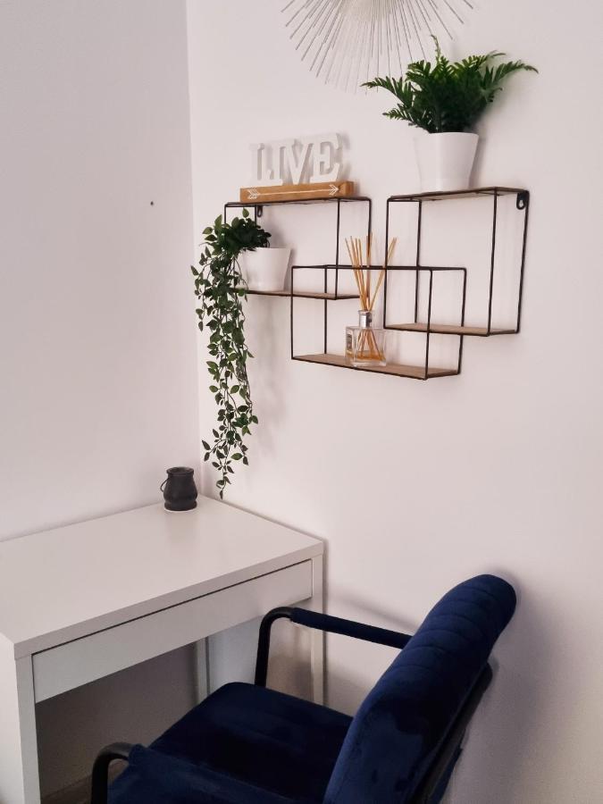 Belvedere Studio Brassó Kültér fotó
